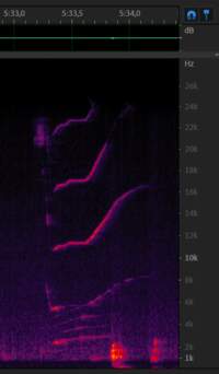 Chirp from 8 december - 5m33s.