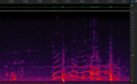 Constant and chirp from 6 december - 2m50s.