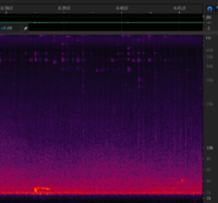 Chirp from 9 december - 6m38s.